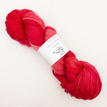 Load image into Gallery viewer, A pink and coral variegated skein of Lorna's Lace Shepherd Worsted yarn

