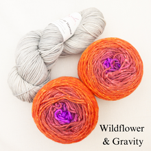 Load image into Gallery viewer, Slip Stitch Scarf Knitting Kit | Anzula For Better or Worsted, Freia Superwash Merino Silk Worsted &amp; Knitting Pattern (#089)
