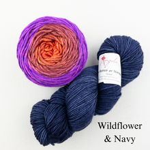 Load image into Gallery viewer, Brioche ShareCare Hat Knitting Kit | Freia Handpaints Superwash Merino Silk Worsted &amp; Anzula For Better or Worsted
