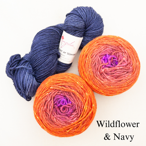 Slip Stitch Scarf Knitting Kit | Anzula For Better or Worsted, Freia Superwash Merino Silk Worsted & Knitting Pattern (#089)