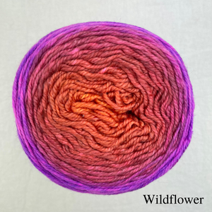 Chevron Baby Hat Knitting Kit | Freia Handpaints Superwash Merino Silk Sport & Knitting Pattern (#290)