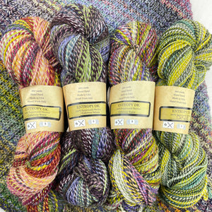 Nightshift Shawl Knitting Kit | Feederbrook Farm Entropy Superwash Merino DK