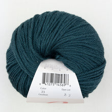 Load image into Gallery viewer, Stellan&#39;s Baby Blanket Knitting Kit | Ella Rae Cashmereno Aran &amp; Knitting Pattern (#119)
