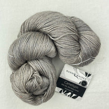 Load image into Gallery viewer, Boneyard Shawl Knitting Kit | Hand Maiden Camelspin
