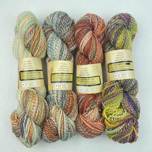 Inclinations Shawl Knitting Kit | Feederbrook Farm Entropy Superwash Merino DK