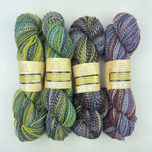 Load image into Gallery viewer, Inclinations Shawl Knitting Kit | Feederbrook Farm Entropy Superwash Merino DK
