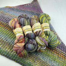 Load image into Gallery viewer, Inclinations Shawl Knitting Kit | Feederbrook Farm Entropy Superwash Merino DK
