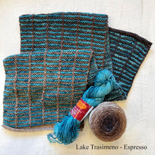 Load image into Gallery viewer, Slip Stitch Scarf Knitting Kit | Jade Sapphire 6-Ply Mongolian Cashmere, Freia Superwash Merino Silk Sport &amp; Knitting Pattern (#089)
