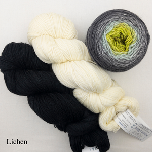 Ombre Woven Scarf Kit | Artyarns Merino Cloud, Freia Superwash Merino Silk Sport & Weaving Pattern (#399)